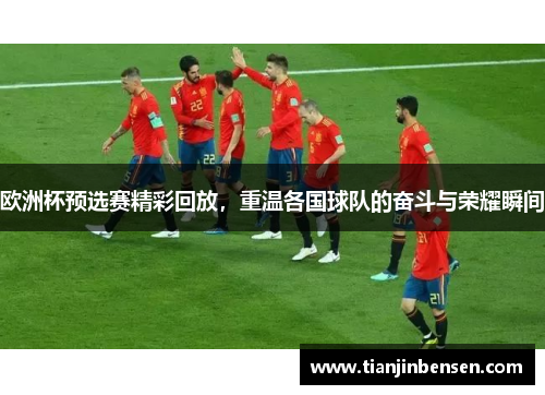 欧洲杯预选赛精彩回放，重温各国球队的奋斗与荣耀瞬间