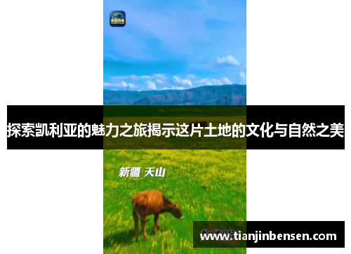 探索凯利亚的魅力之旅揭示这片土地的文化与自然之美