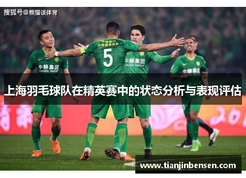 上海羽毛球队在精英赛中的状态分析与表现评估